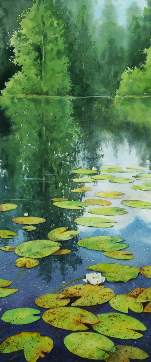 Lily Pad - Water Lilies - Lily by Olga Beliaeva Watercolour
