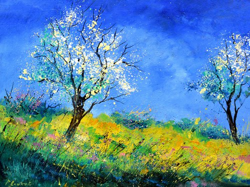 Spring in my countryside - 8624 by Pol Henry Ledent
