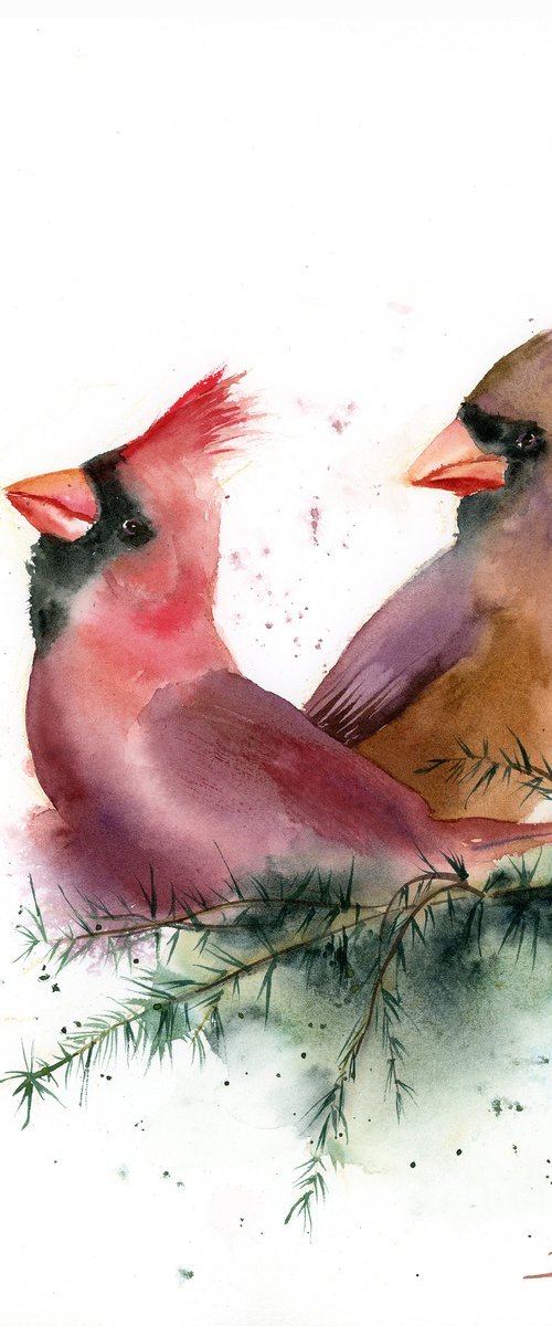 Two Cardinals by Olga Tchefranov (Shefranov)