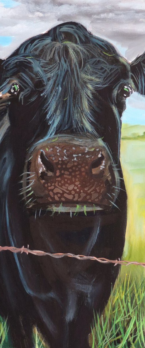 Cow and a Robin by Gordon Bruce