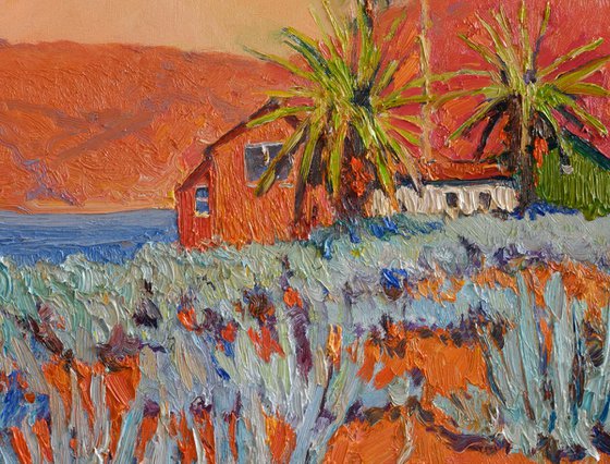 Blue Agaves. Sunny Day