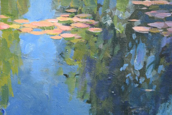 Water lilies light and shadow