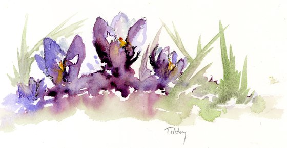 Crocuses