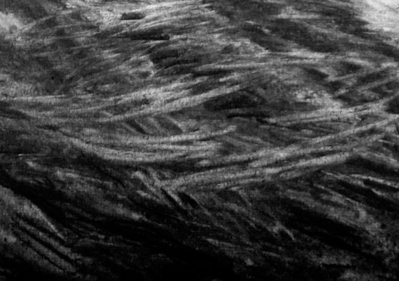 River Flow Patterns