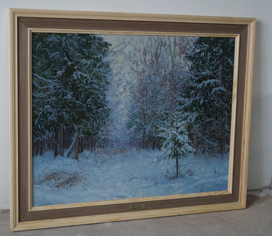 Winter forest