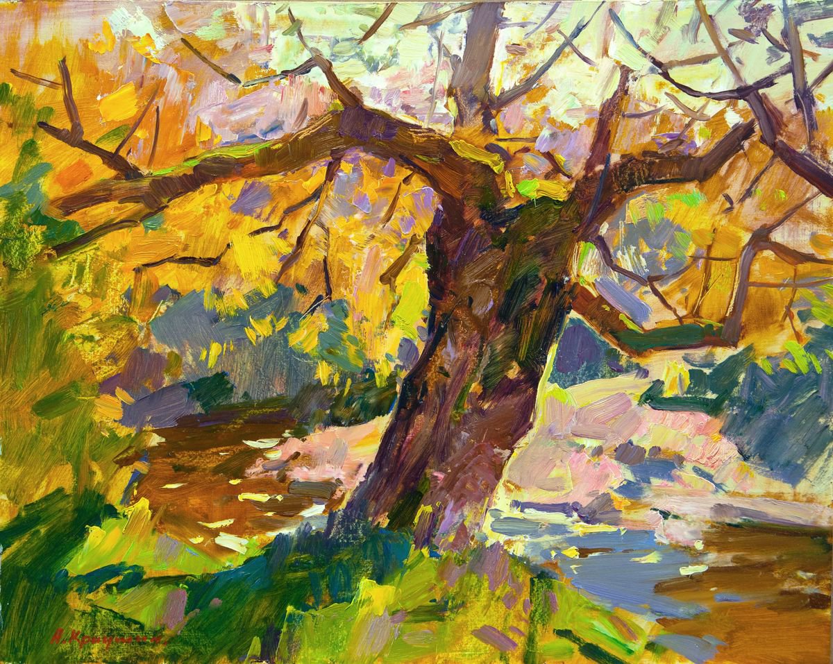 Impressionistic Landscape Oil Painting By Aleksandr Kryushyn, 19 X 15, Old Willow, Original Artwork