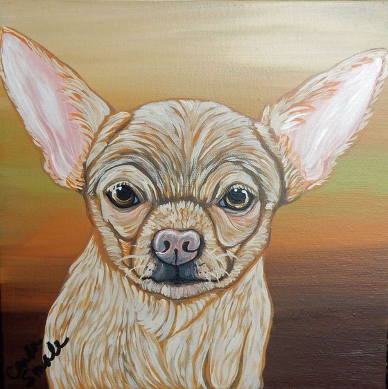 Blonde Chihuahua Pet Dog Original Art Painting-8 x 8 Inches Deep Set Stretched Canvas-Carla Smale