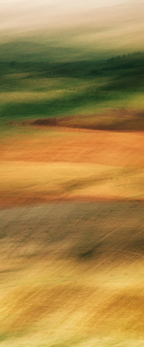 Painted dream #26 by Karim Carella