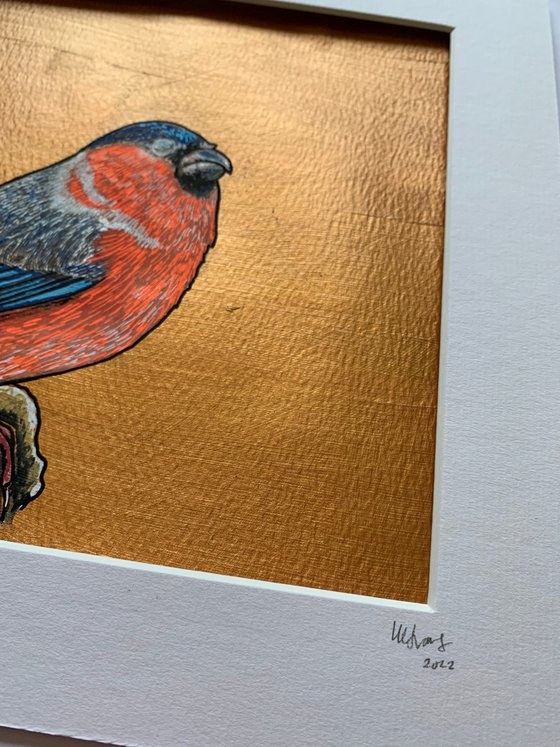 British Garden Birds series - Bullfinch