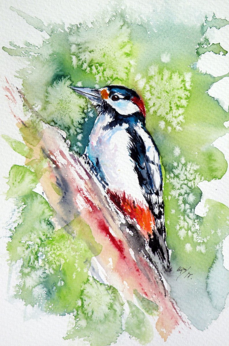 Woodpecker by Kovacs Anna Brigitta