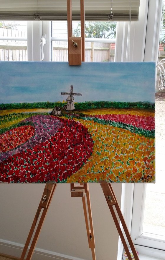 Wildmill with beautiful Tulip field in Holland