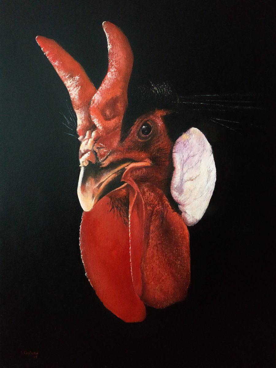 Photorealistic Animal Oil Painting By Tomas Castano, 18 X 24", Gallina Fleche, Original Artwork