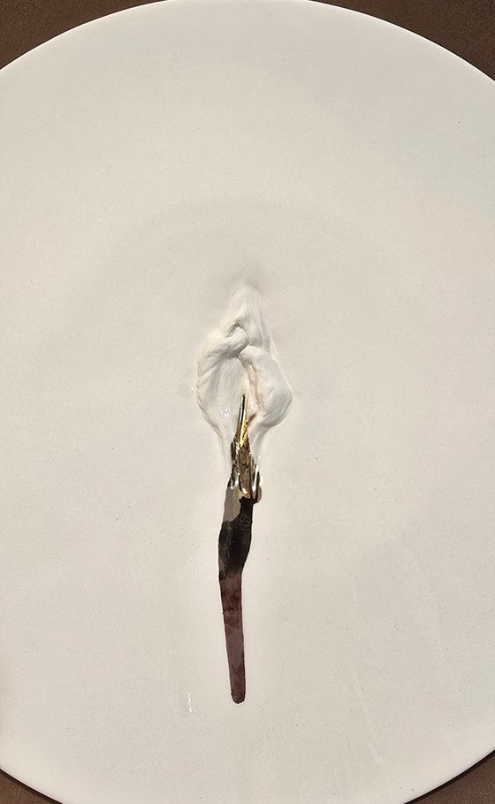 "Vulva Hypnotica XXVI"