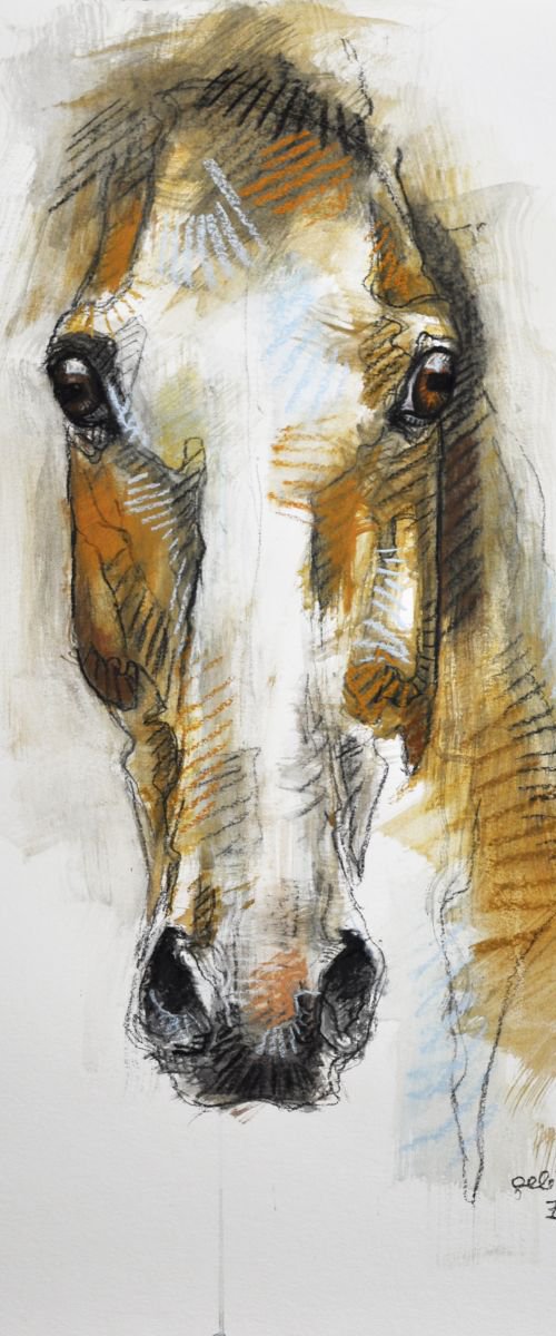 Alert XIII by Benedicte Gele