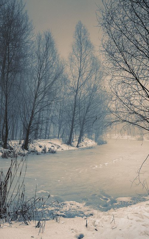 Near the frozen lake. by Valerix