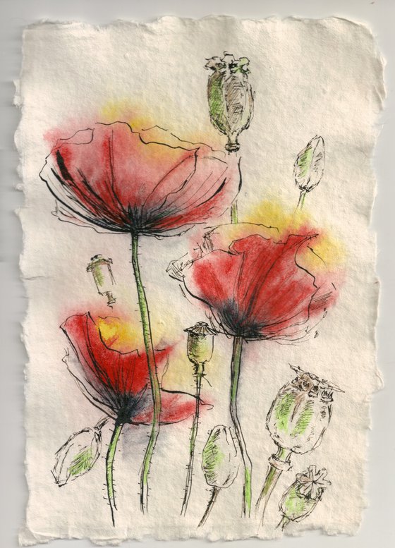 Poppies