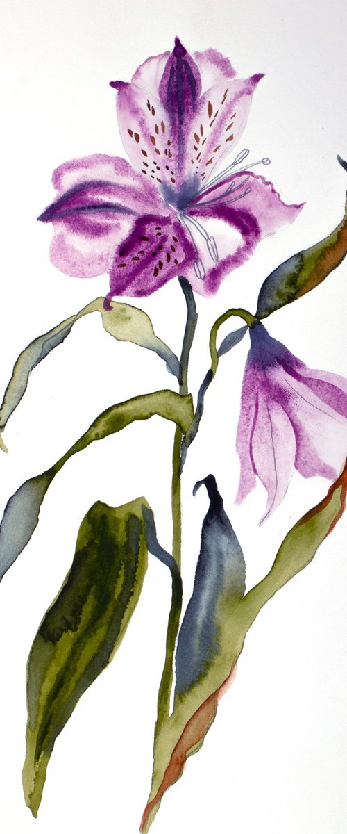 Lilies No. 11 by Elizabeth Becker