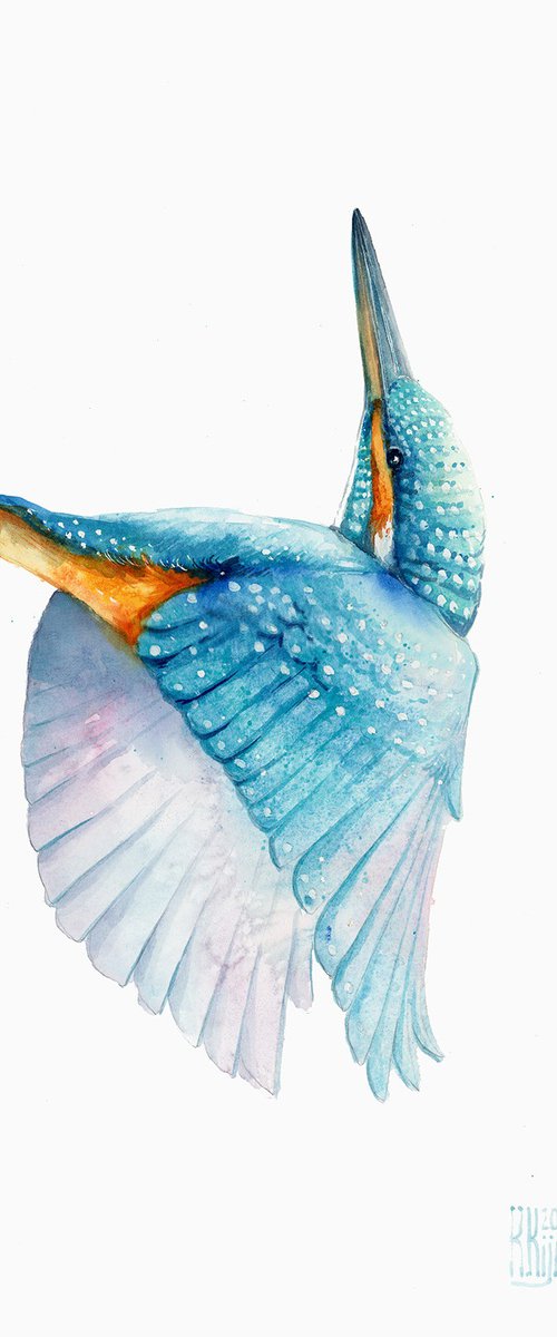 Kingfisher flying by Karolina Kijak