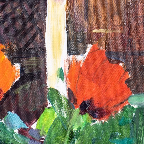 Poppies by the House