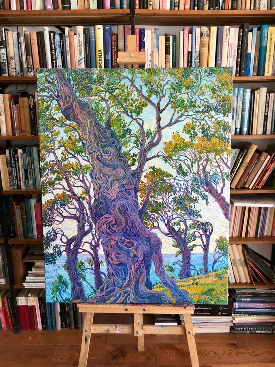 Beneath the Olive Canopy