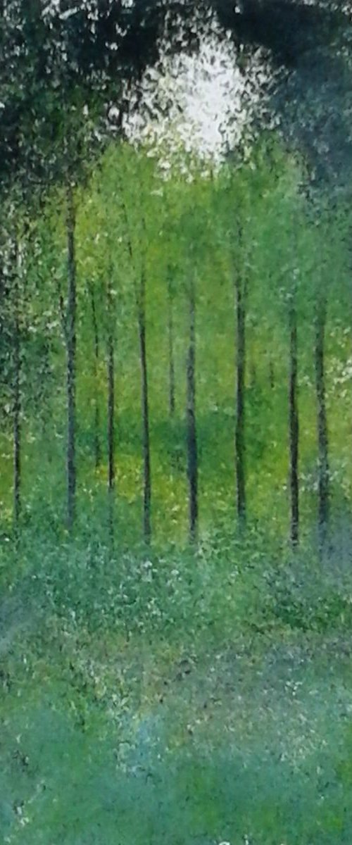 St James's Park III by Jan Rippingham
