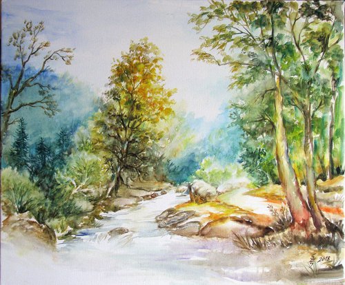 Forest stream No. 3 by Székelyhidi Zsolt