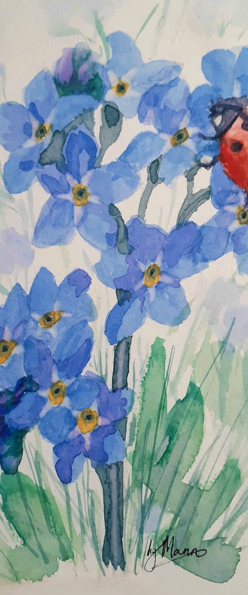 Ladybird and Forget-me-nots by Lisa Mann