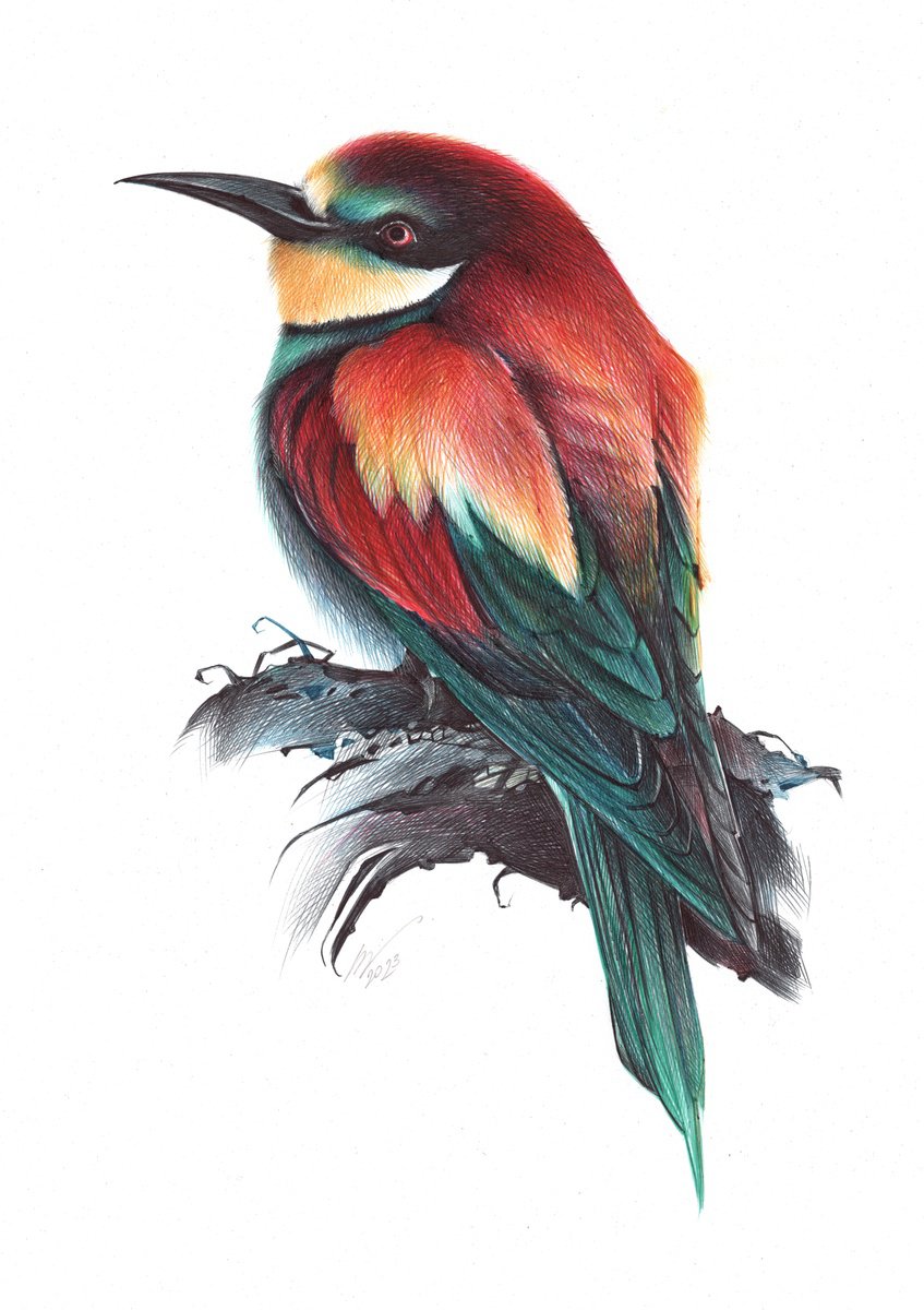 European Bee-eater (Realistic Ballpoint Pen Bird Portrait) by Daria Maier