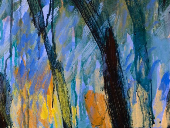 The Bluebell Forest