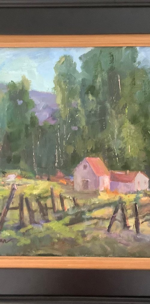 Behind  the Fence by Lia Matevosyan Haselton