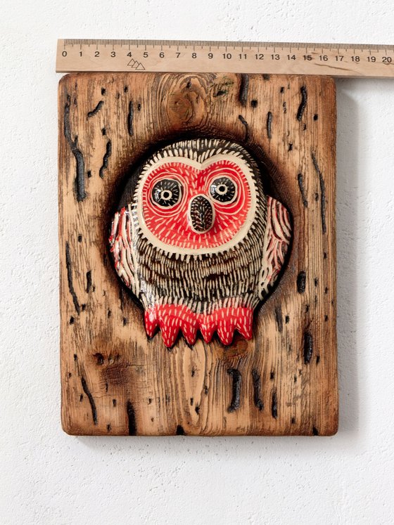 Owl