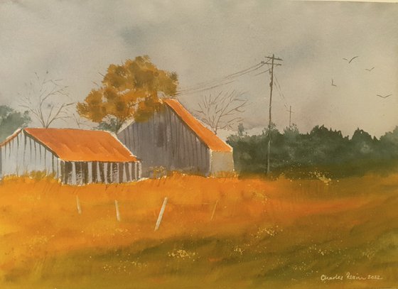 Barns in Morning Light
