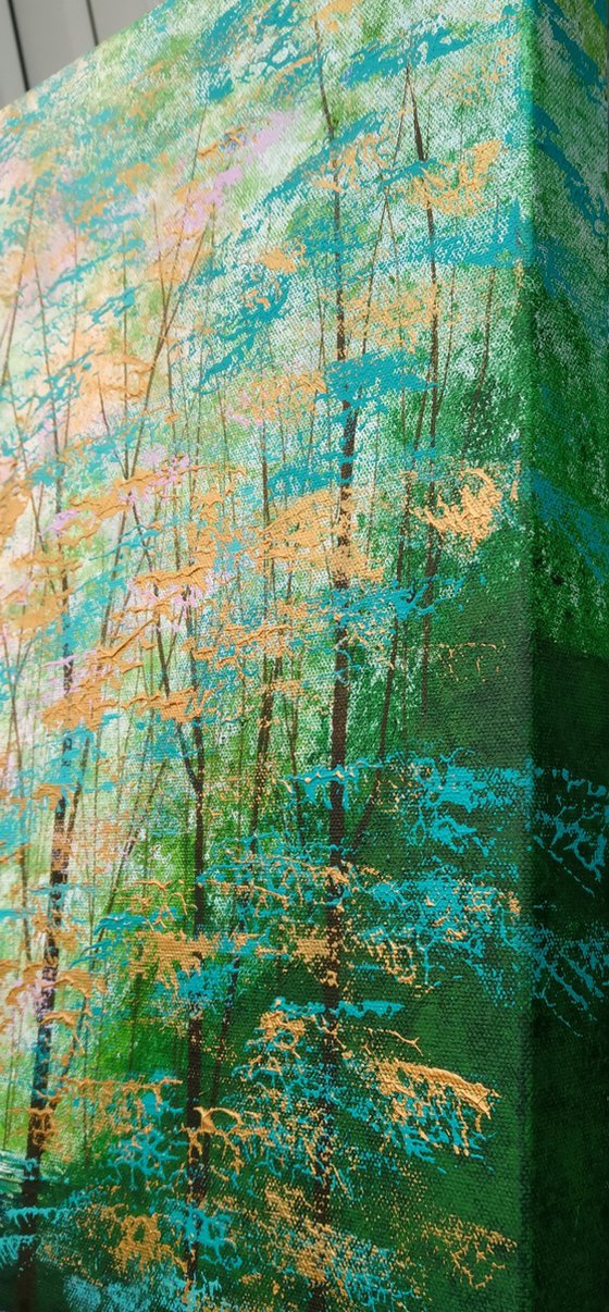 Secret Forest Shadow and Light