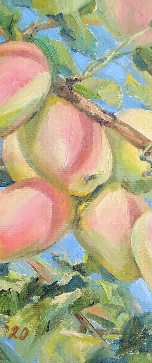 Two seasons by Olha Malko