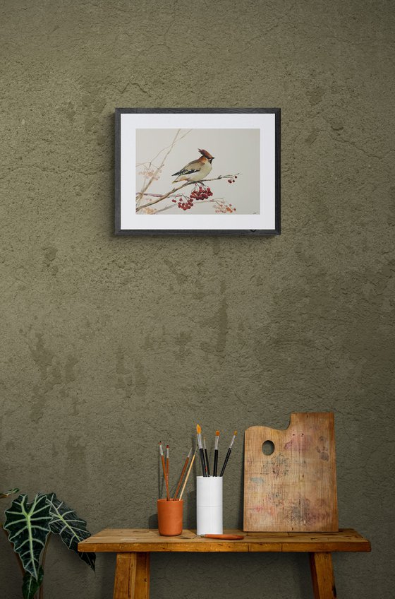 Waxwing