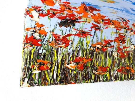 A Meadow Full Of Poppies 3