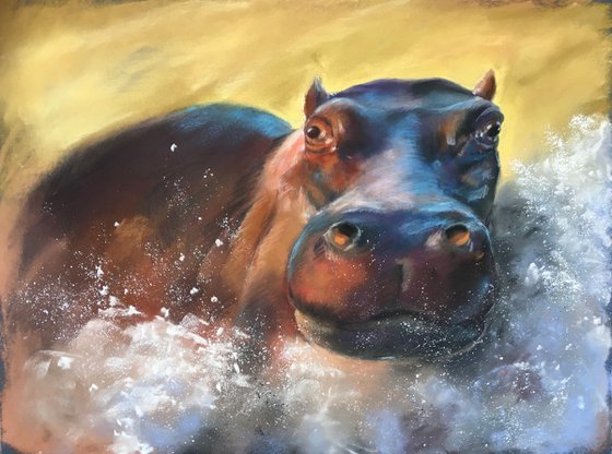 Hippo bath