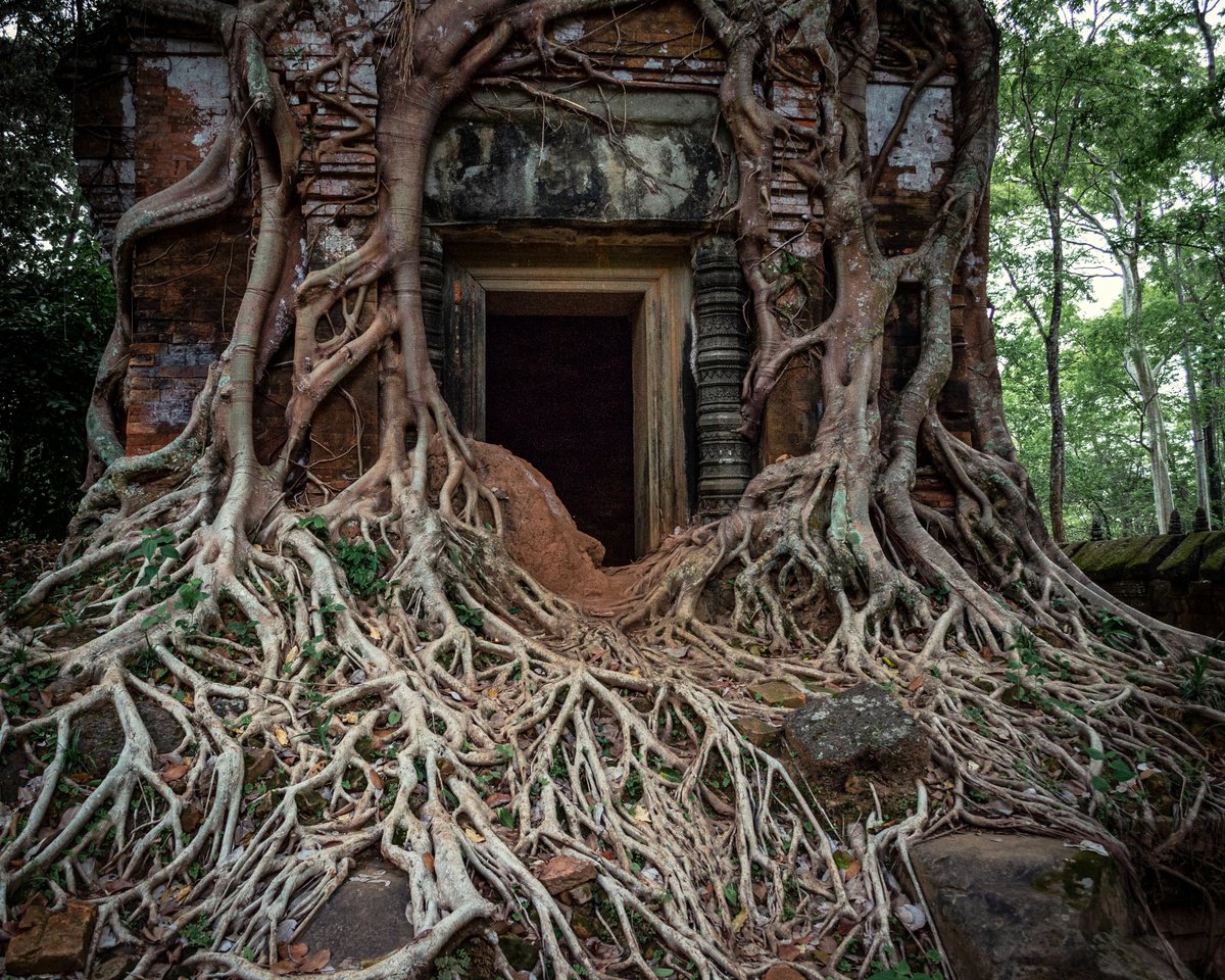 Angkor Series No.8 by Serge Horta