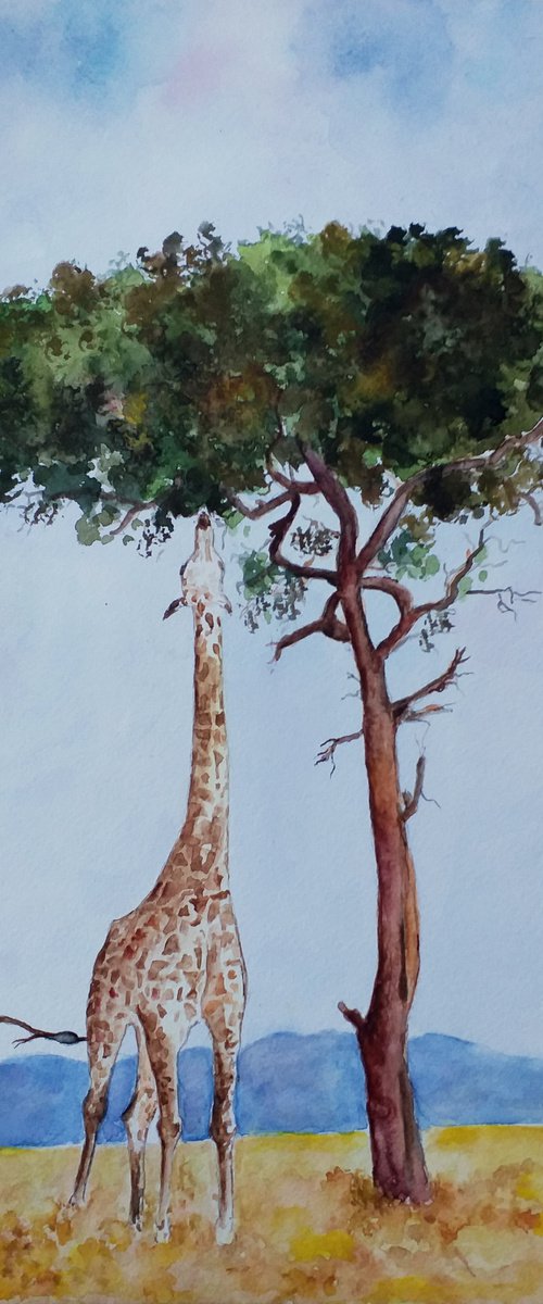 GIRAFFE  26 x 43 cm by Zoran Mihajlović Muza