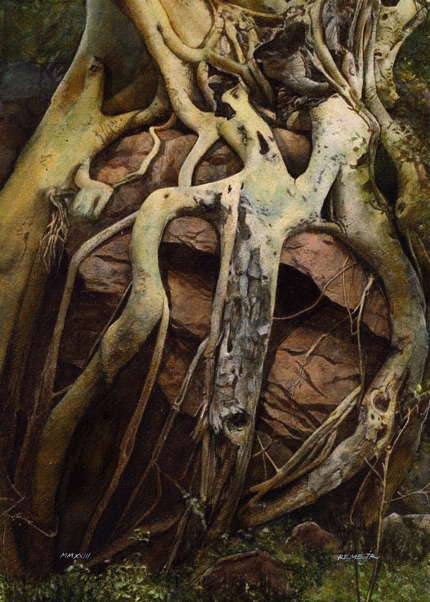 Photorealistic Landscape Watercolour By Reme Jr., 10 X 14", Roots Ii, Original Artwork