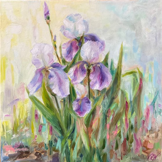 DELICATE IRISES