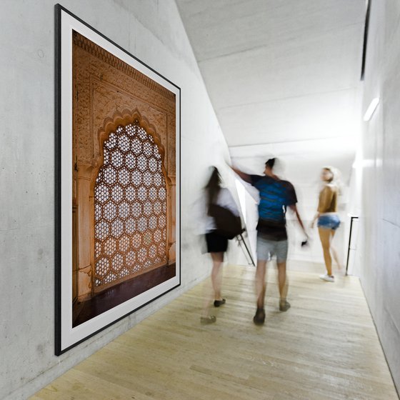 Amer Fort, Jaipur IV