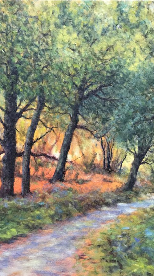 Wiveton Wood, Norfolk by Ashley Baldwin-Smith