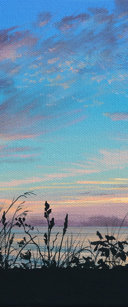 Evening Show by Theresa Shaw
