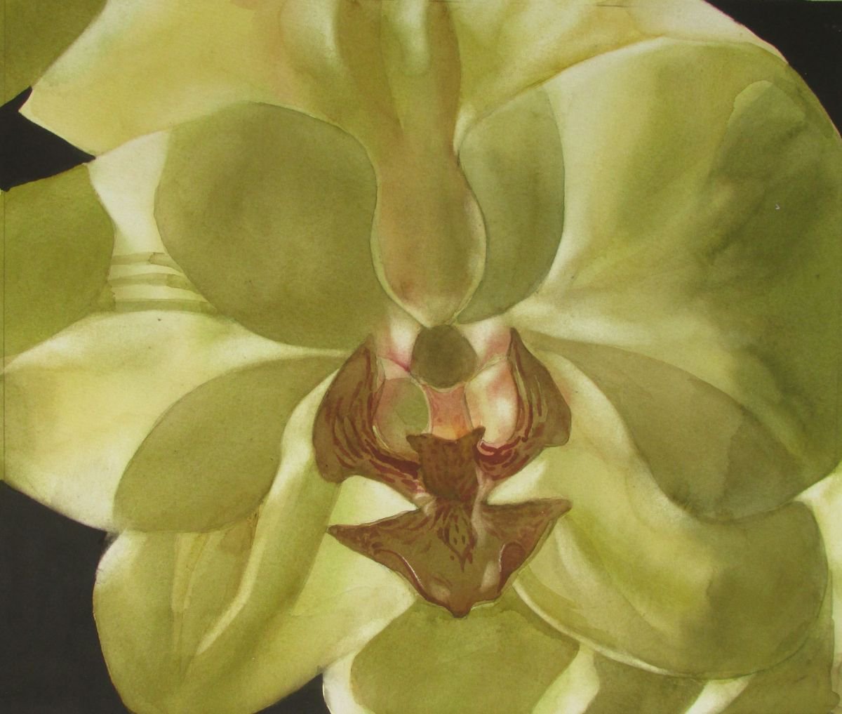 a painting a day #48 shades of yellow by Alfred Ng