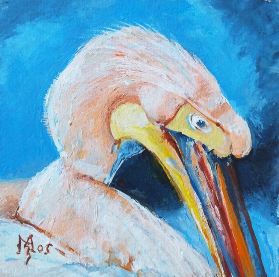 PELICAN