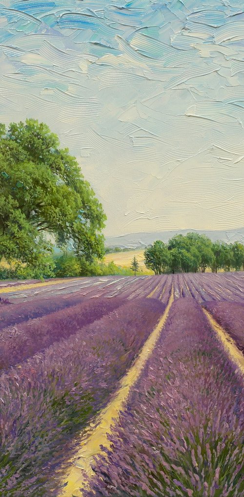 Provence by Eduard Zhaldak