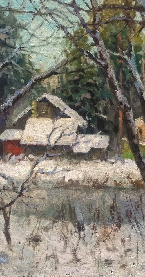 Snowy on the pond by Olga Goryunova