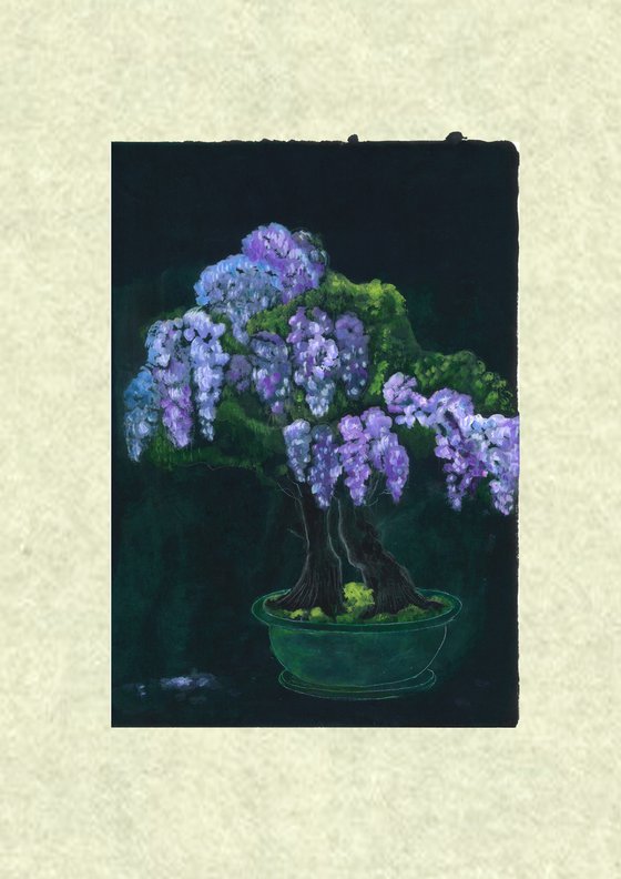 Bonsai Wisteria