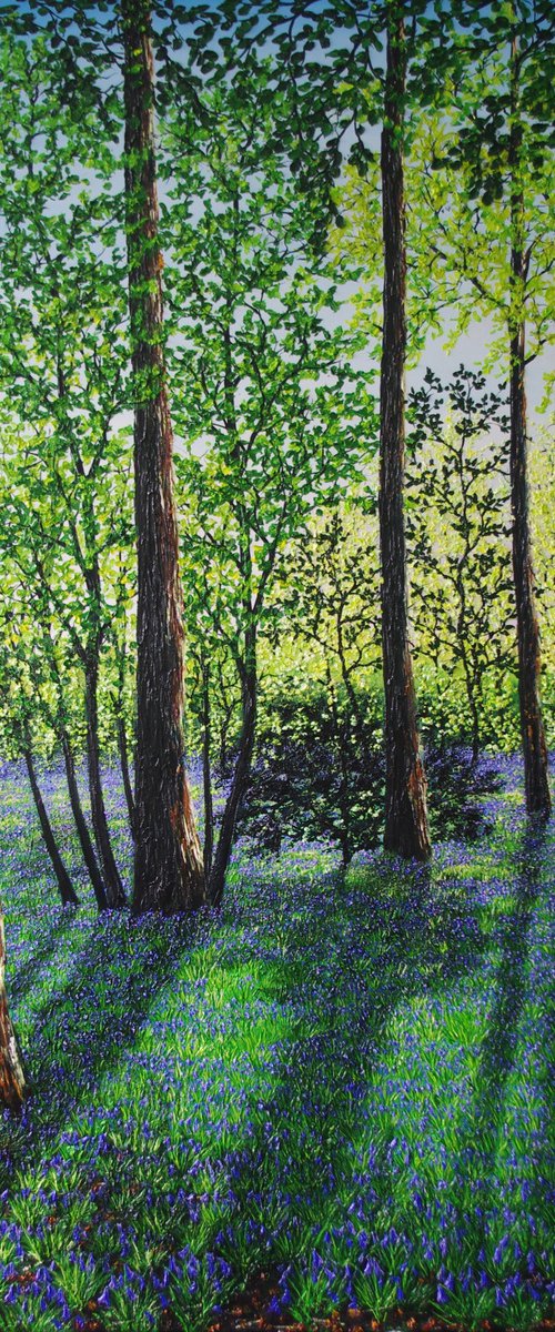 Springtime Shadows by Hazel Thomson